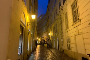 Вена: пешеходная экскурсия по привидениями центра города