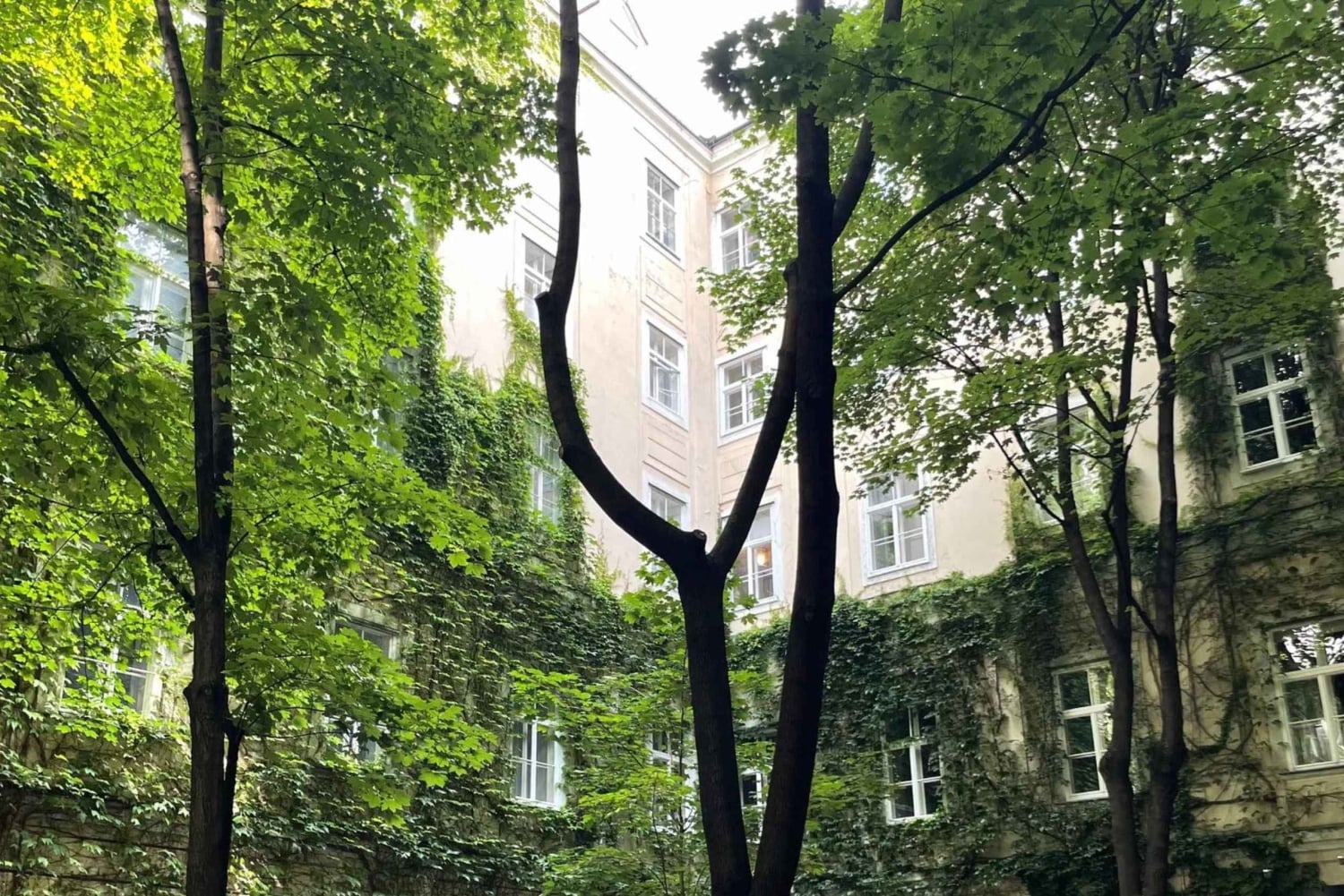 Wien: Versteckte Innenhöfe Geführter Rundgang