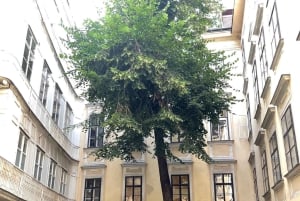 Vienna: Hidden courtyards Guided walking tour