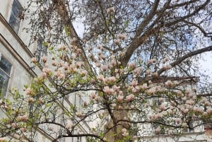 Wien: Versteckte Innenhöfe Geführter Rundgang