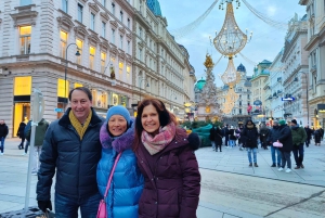 Vienna: Tour di punta (max 8 pax)