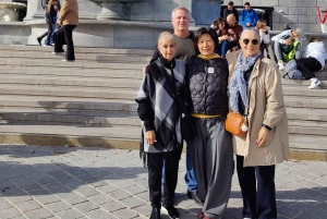 Vienna: Tour di punta (max 8 pax)