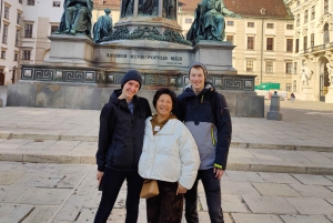 Vienna: Tour di punta (max 8 pax)