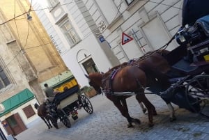 Wenen: Hoogtepunten wandeltour in het centrum