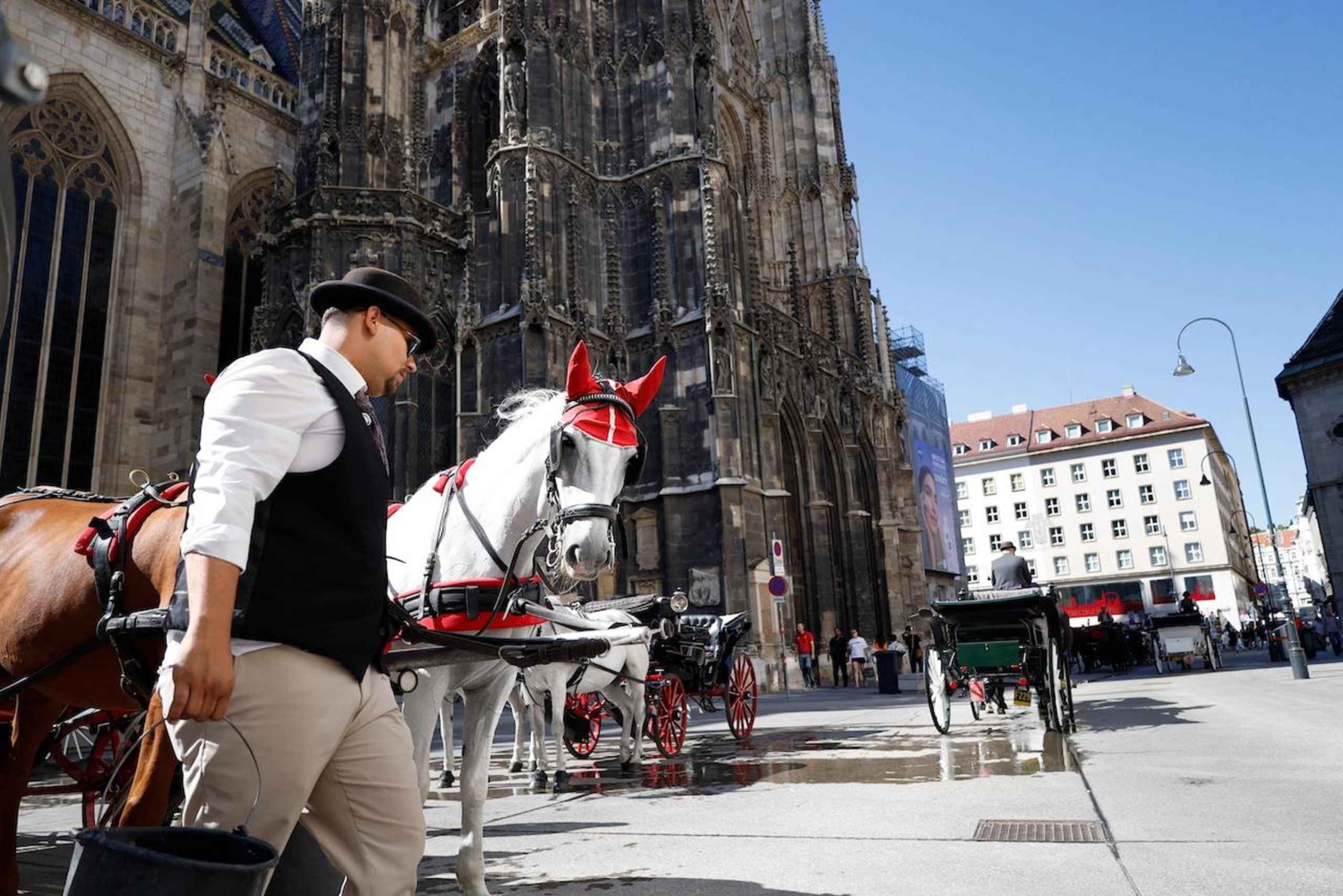 Vienna: Highlights Private Tour, Palaces & Sacher Cake