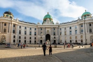 Vienna: Highlights Private Tour, Palaces & Sacher Cake