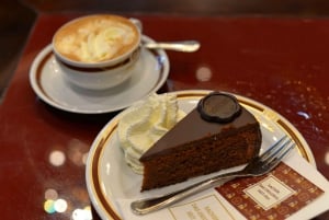 Vienna: Highlights Private Tour, Palaces & Sacher Cake