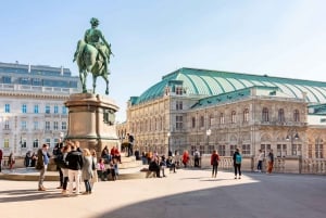 Vienna: Highlights Private Tour, Palaces & Sacher Cake