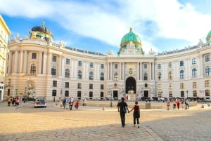 Vienna: Highlights Private Tour, Palaces & Sacher Cake