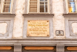 Vienna: Highlights Private Tour, Palaces & Sacher Cake