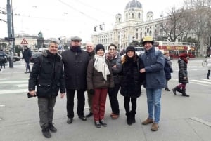 Vienna: tour guidato a piedi con una guida locale