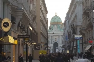 City Tour com destaque histórico em Viena + Hofburg