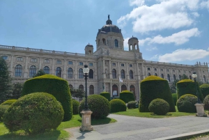 Tour de ville historique de Vienne + Hofburg