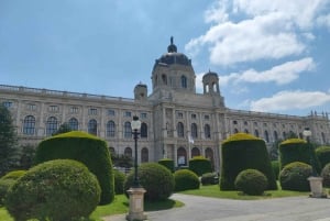 Tour storico della città di Vienna + degustazione di vini