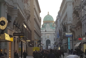 Tour de ville historique de Vienne + dégustation de vin