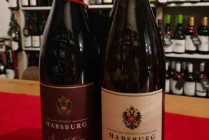 Tour de ville historique de Vienne + dégustation de vin