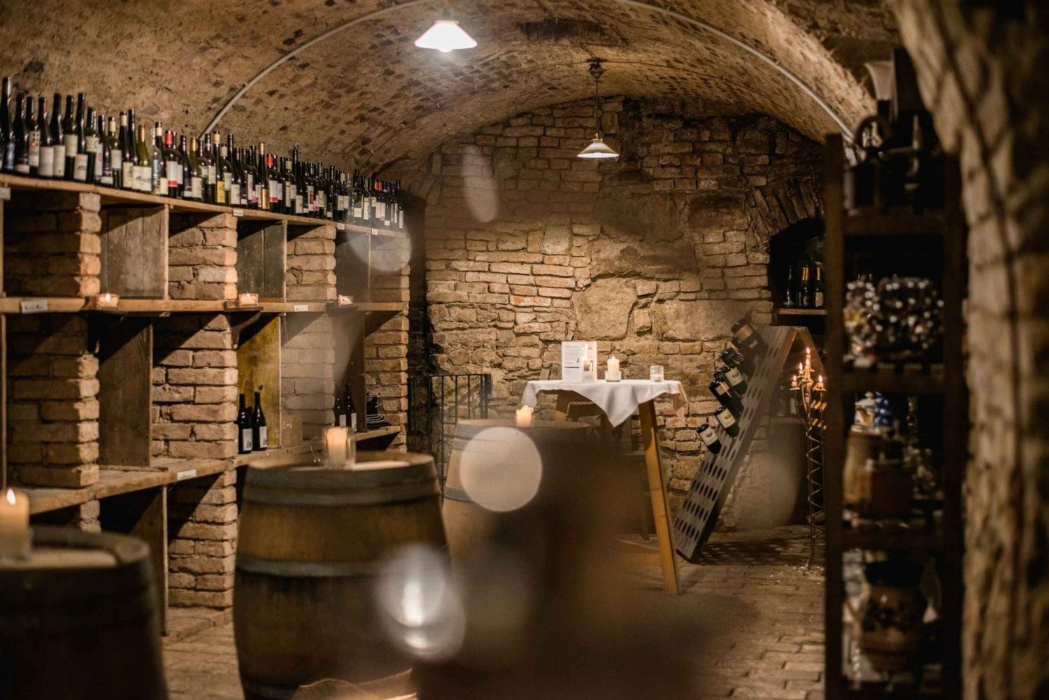 Wenen: Historische wijnkelder rondleiding