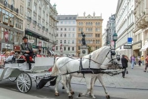 Vienna: tour guidato dell'Hofburg e del Museo dell'Imperatrice Sisi