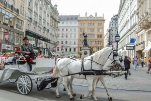 Vienna: Hofburg and Empress Sisi Museum Guided Tour
