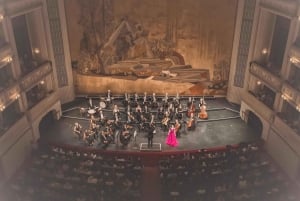 Koncert med Wiener Hofburg-orkester i Wiens statsopera