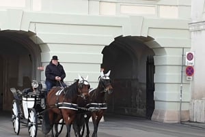 Wien: Hofburg-palatset och Principessa Sissi Tour