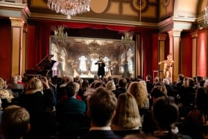 Vienna: Casa di Strauss - Pass per musei e Strauss Gourmet