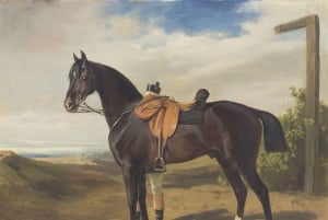 Vienna: biglietto per il Museo delle Carrozze Imperiali del Castello di Schönbrunn