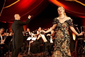 Wien: Johann Strauss Dinner Show im Prater