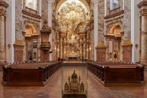 Ticket de entrada a la Karlskirche con acceso a la terraza panorámica