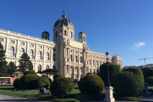 Wien: Konsthistoriska museets mästerverk med guidad tur