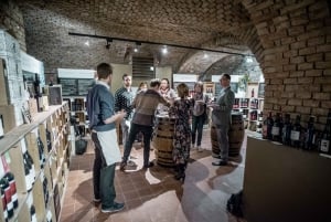 Vienna: Local Wine Tasting in a Historic Roman Wine Cellar
