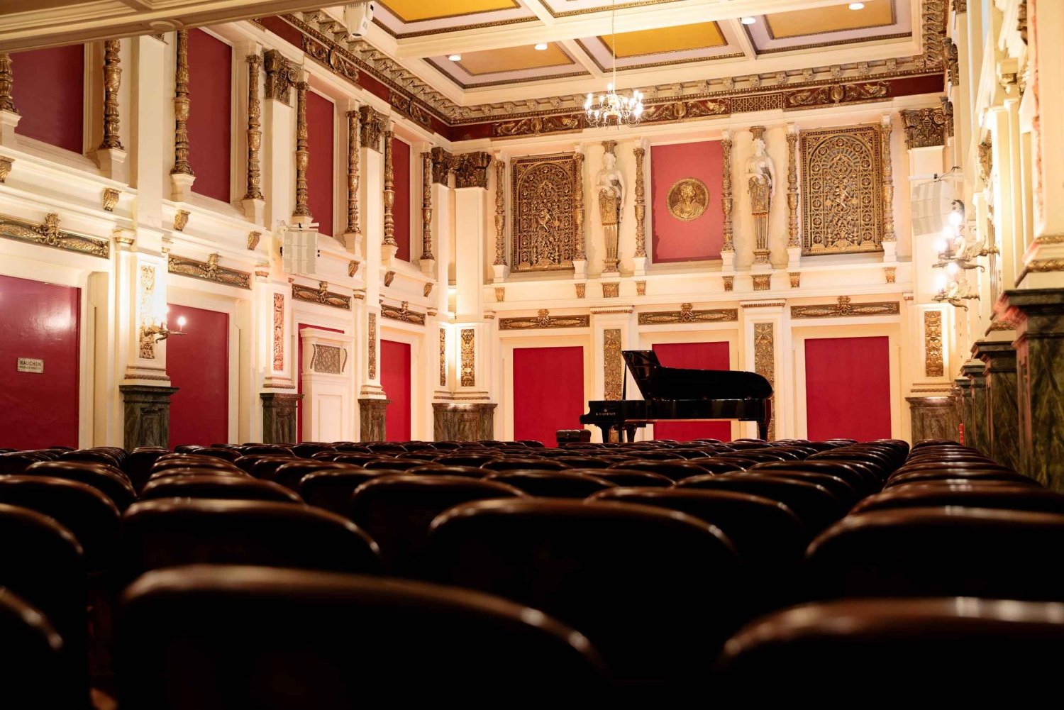 Vienna: Lorely Saal Concert Ticket