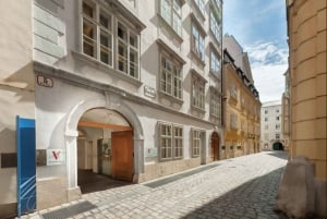 Vienna: Mozart Private Guided Tour