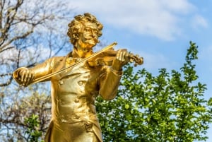 Vienna: Incontra il tour guidato a piedi privato di Strauss