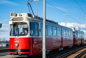 Vienna MegaCombo: Schönbrunn, Sisi, Walking Tour & Transport