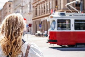 Vienna MegaCombo: Schönbrunn, Sisi, Walking Tour & Transport