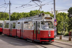 Vienna MegaCombo: Schönbrunn, Sisi, Walking Tour & Transport