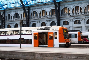 Vienna MegaCombo: Schönbrunn, Sisi, Walking Tour & Transport