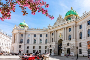 Vienna MegaCombo: Schönbrunn, Sisi, Walking Tour & Transport