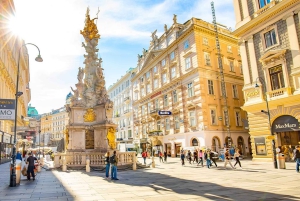 Vienna MegaCombo: Schönbrunn, Sisi, Walking Tour & Transport