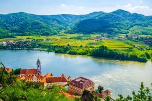 Viena: Abadía de Melk, Valle del Danubio, Wachau Viaje en Coche Privado