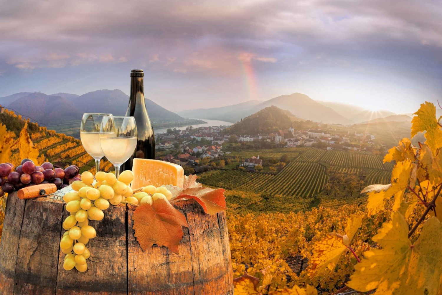 Vienne : Melk, vin de Wachau, excursion en voiture en Basse-Autriche