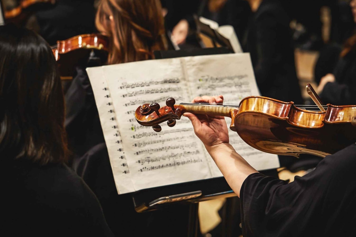 Wien: Mozart, Beethoven ja Strauss Private Tour