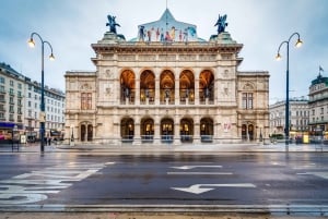 Wien: Mozart, Beethoven och Strauss Private Tour