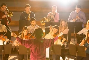 Wien: Mozart, Beethoven ja Strauss Private Tour