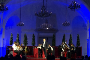 Vienna: Music Concert at Schönbrunn Palace with Wine
