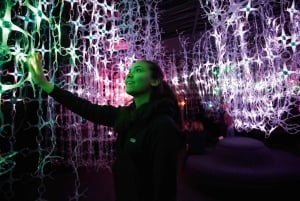 Wenen: Mythos Mozart Experience Ticket & wandeltour met gids