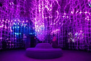 Wenen: Mythos Mozart Experience Ticket & wandeltour met gids