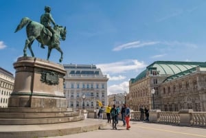 Wenen: Mythos Mozart Experience Ticket & wandeltour met gids