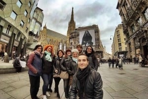 Vienna: Tour guidato a piedi del centro storico con una guida locale